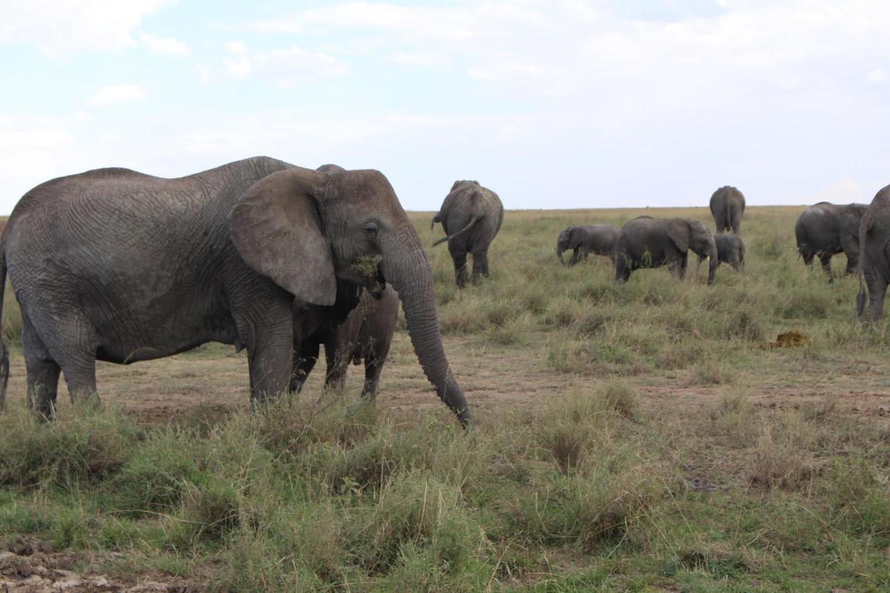 Mapito Tented Camp سيرينغيتي المظهر الخارجي الصورة