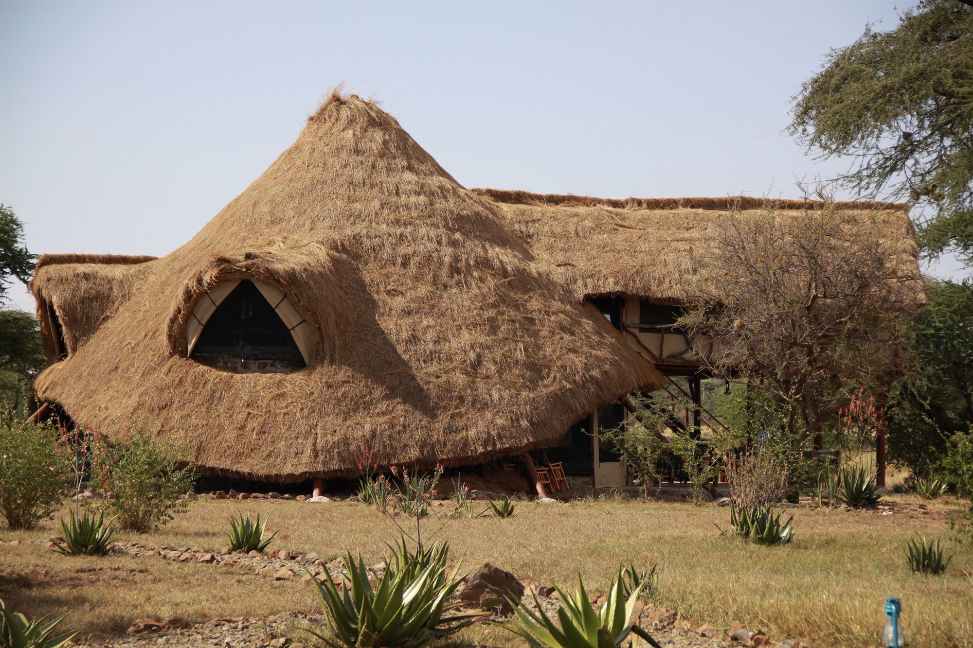 Mapito Tented Camp سيرينغيتي المظهر الخارجي الصورة
