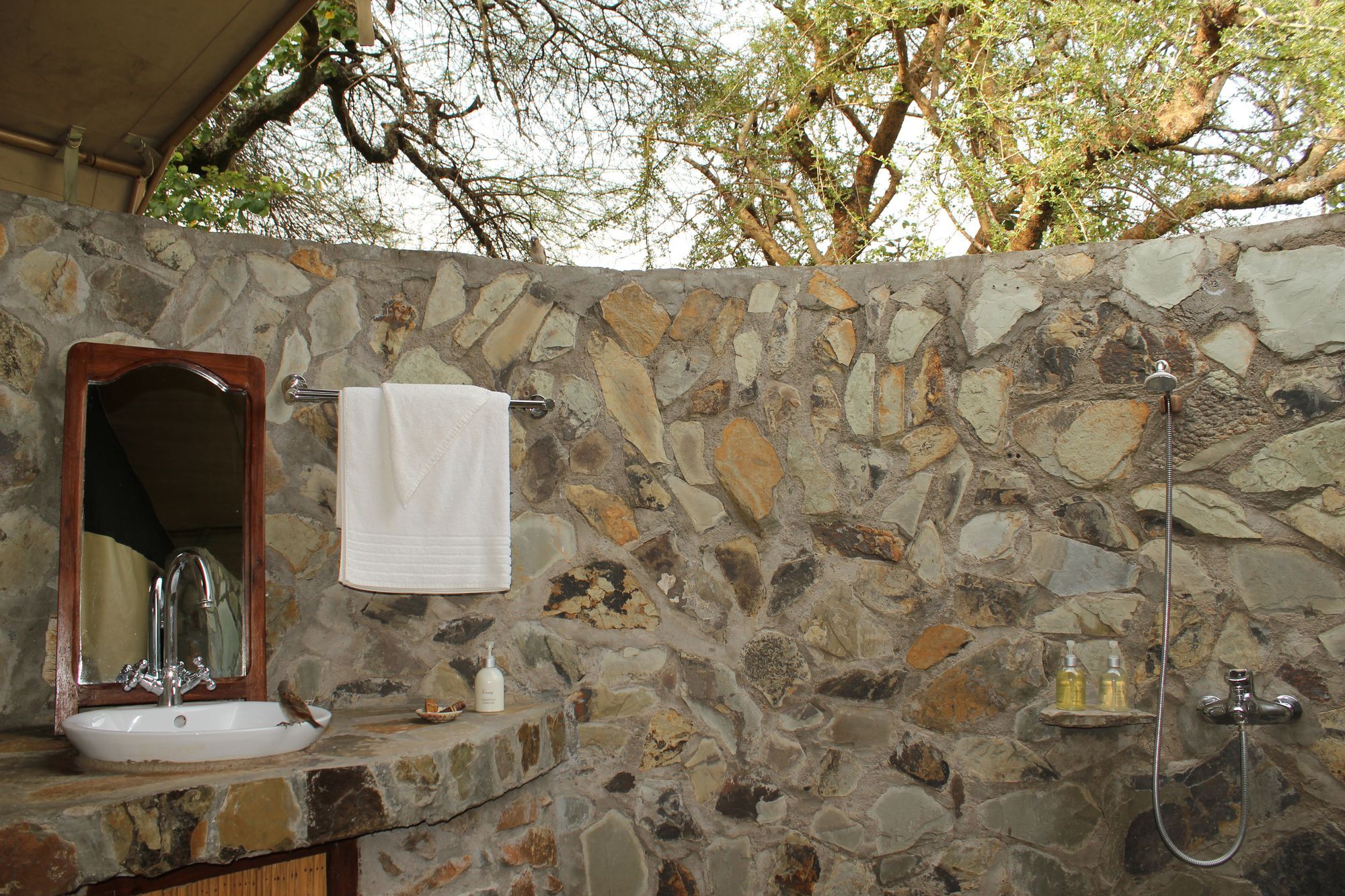 Mapito Tented Camp سيرينغيتي المظهر الخارجي الصورة