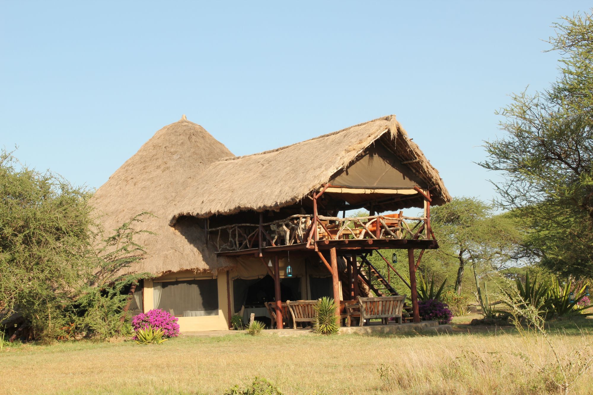 Mapito Tented Camp سيرينغيتي المظهر الخارجي الصورة